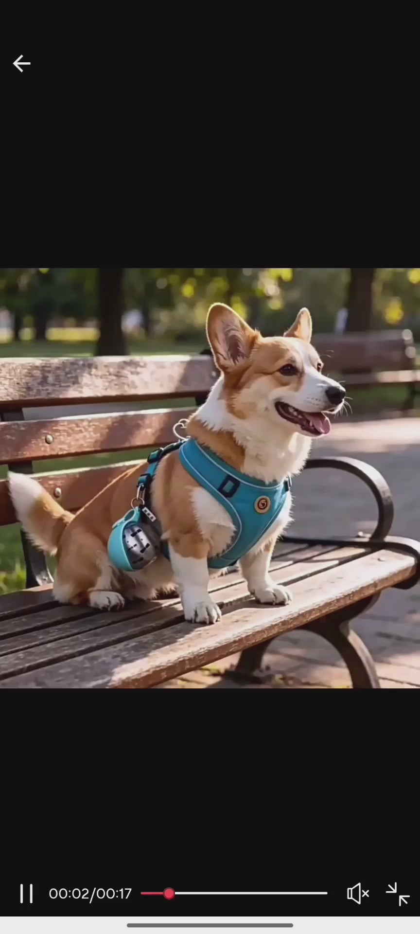 Gourde pour chien de petite taille